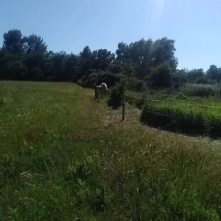 Maison Individuelle 5 Couchages Dans Ferme Equestre Aups Exteriér fotografie